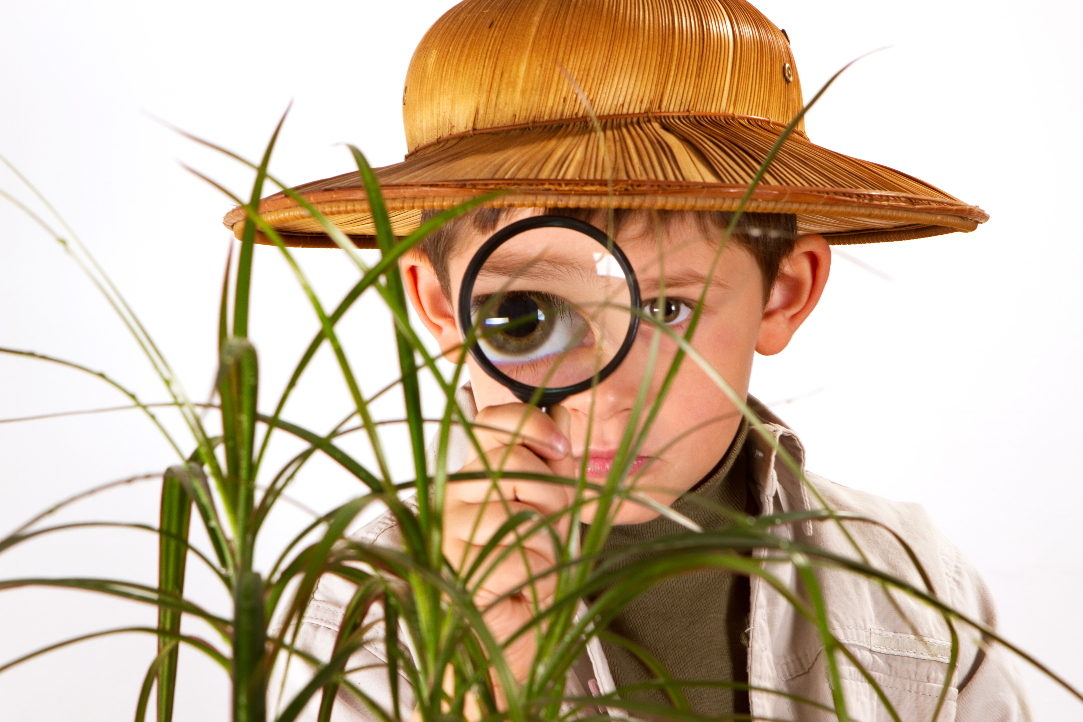 Image of young boy hiding behind tall grass holding a magnifying glass up to his eye